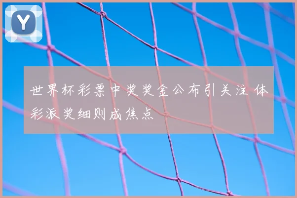 世界杯彩票中奖奖金公布引关注 体彩派奖细则成焦点