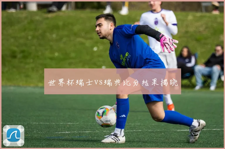 世界杯瑞士vs瑞典比分结果揭晓