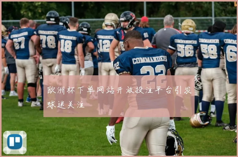 欧洲杯下单网站开放投注平台引发球迷关注