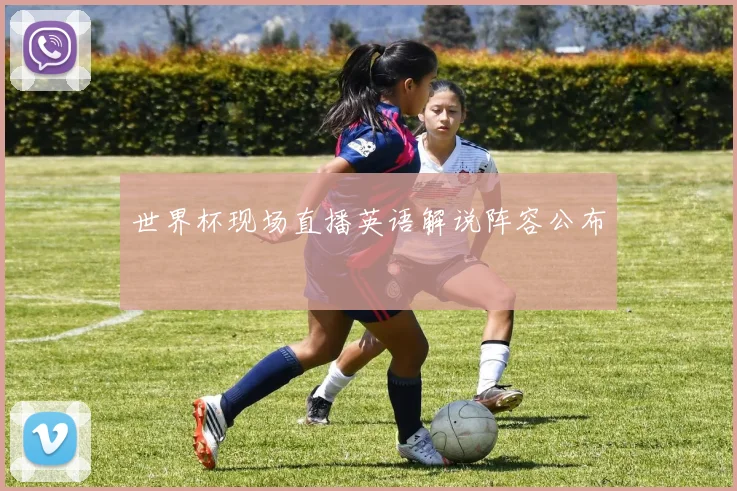 世界杯现场直播英语解说阵容公布