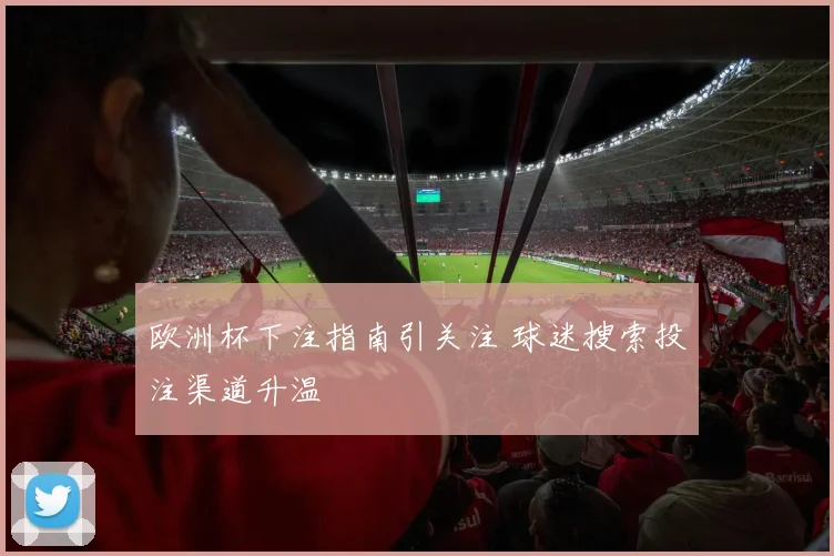 欧洲杯下注指南引关注 球迷搜索投注渠道升温