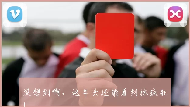 没想到啊，这年头还能看到林疯狂！