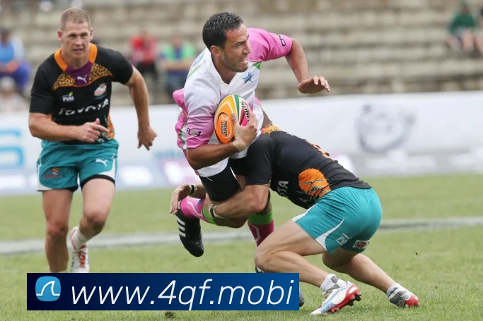 开云网页版·官方版在线 - 开云(中国)APP 封面图